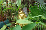 Photos of Jasmine Garden Villa