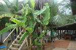 Photos of GreenHouse Hostel