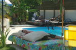 Photos of GreenHouse Hostel