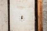 Apartments and Hostel Rooms Castanea - Image 10