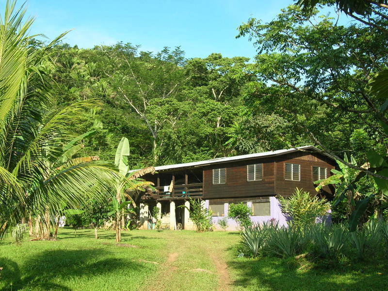 Hummingbird Guest Lodge & Hostel  0