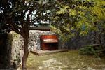 Photos of Greenday Guest House