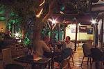 Ivy Guesthouse