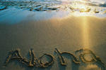 The Northshore Hostel Maui - Image 2