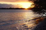 The Northshore Hostel Maui - Image 3