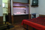 Baba Lolark PG on Ganges - Image 1