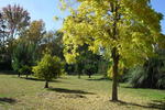 Eco Lodge Pakowhai - Image 7