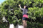 Eco Lodge Pakowhai - Image 8