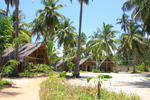 New Teddy's Place - Image 8