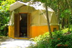 Macacos House - Image 5