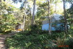 Macacos House - Image 6