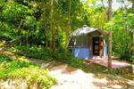 Macacos House - Image 7
