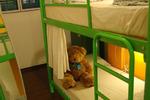 Beary Best! by a beary good hostel - Image 7