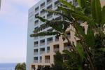 Alto Lido - Image 4