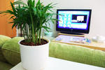 BravoRelax Hostel - Image 4