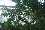 B&B Via Maxima - Image 5