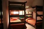 Lion Hostel - Image 4
