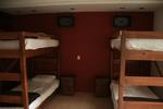 Lion Hostel - Image 10