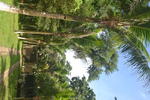 Photos of Surf Garden Hostel