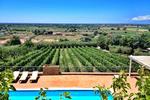 Casale Giancesare - Image 4