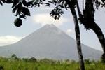 Jardines Arenal - Image 2