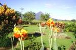 Jardines Arenal - Image 8