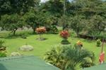 Jardines Arenal - Image 9