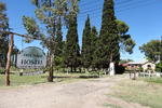 The Tree House Hostel - Image 4