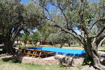 The Tree House Hostel - Image 6