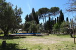 The Tree House Hostel - Image 10