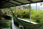 Photos of Mapa da Ilha Hostel