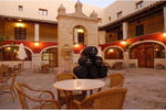Hotel Bodega Real