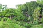 Sepilok Forest Edge Resort - Image 2
