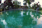 Sepilok Forest Edge Resort - Image 6