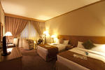 Photos of Hallmark Hotel