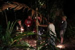 Daintree Crocodylus Village - Image 3