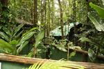 Daintree Crocodylus Village - Image 5
