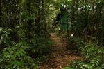 Daintree Crocodylus Village - Image 6