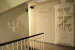 Tomato Backpackers Hotel - Image 9