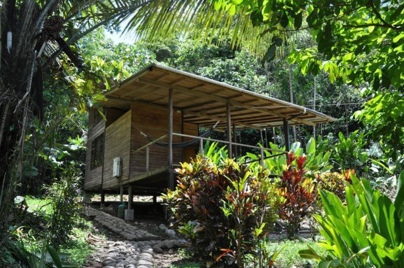 Huella Verde Rainforest Lodge  2