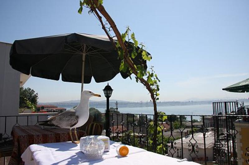 Marmara Guesthouse  1