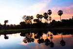 Ganesha Riverside Eco Resort - Image 6