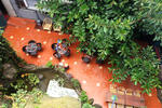 Kunming Upland International Youth Hostel - Image 3