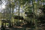 Canopy Village - Image 1