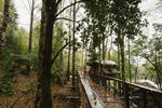 Canopy Village - Image 2