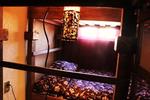 Hostal Galeria Cafe 1810 - Image 10