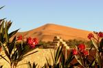 La Vallée des Dunes