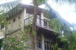 Oasis Natal