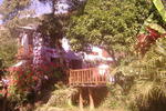Photos of Villa Bonita Coroico