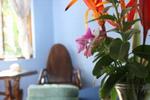 Hotel Perico Azul - Image 5